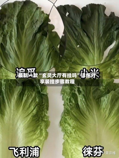 最新一款“玄灵大厅有挂吗	”详细分享装挂步骤教程-第1张图片