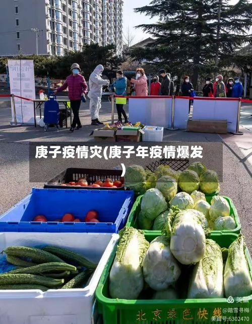 庚子疫情灾(庚子年疫情爆发)-第2张图片