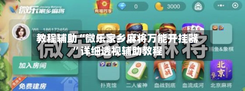 教程辅助“微乐家乡麻将万能开挂器”详细透视辅助教程-第2张图片