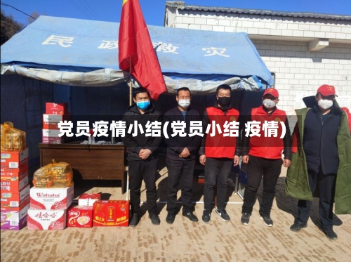 党员疫情小结(党员小结 疫情)-第2张图片