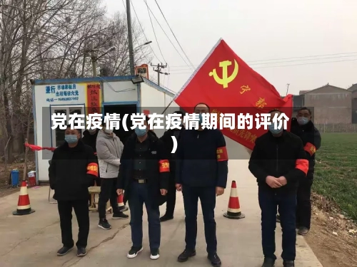党在疫情(党在疫情期间的评价)-第2张图片
