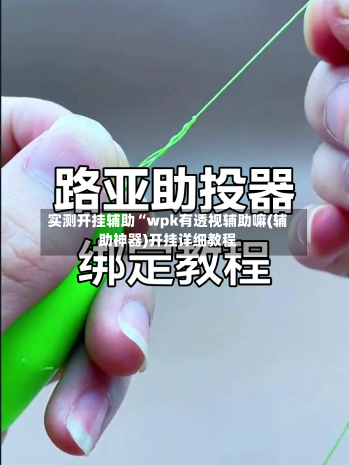 实测开挂辅助“wpk有透视辅助嘛(辅助神器)开挂详细教程-第3张图片