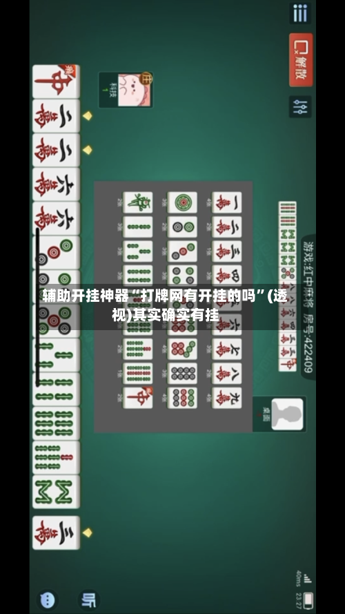 辅助开挂神器“打牌网有开挂的吗	”(透视)其实确实有挂-第2张图片