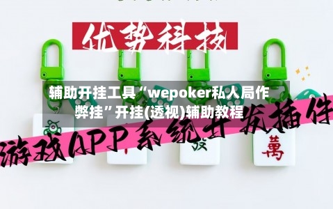 辅助开挂工具“wepoker私人局作弊挂	”开挂(透视)辅助教程-第2张图片