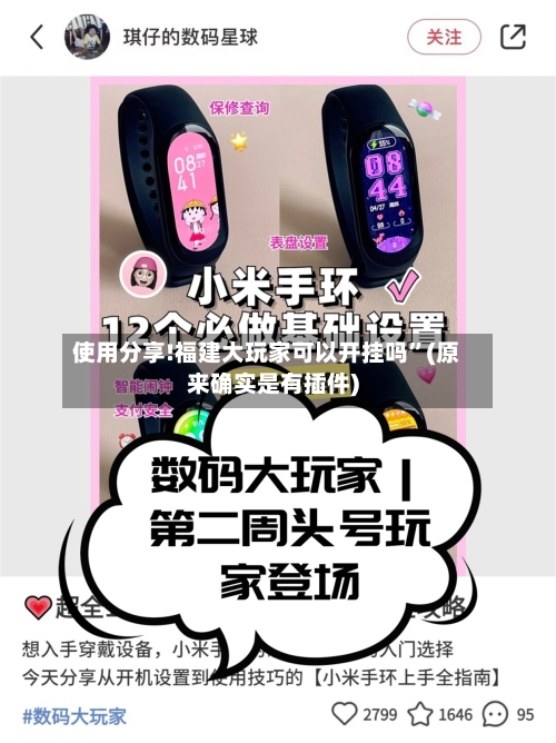 使用分享!福建大玩家可以开挂吗”(原来确实是有插件)-第1张图片