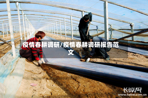 疫情春耕调研/疫情春耕调研报告范文-第2张图片