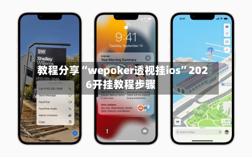 教程分享“wepoker透视挂ios	”2026开挂教程步骤-第2张图片