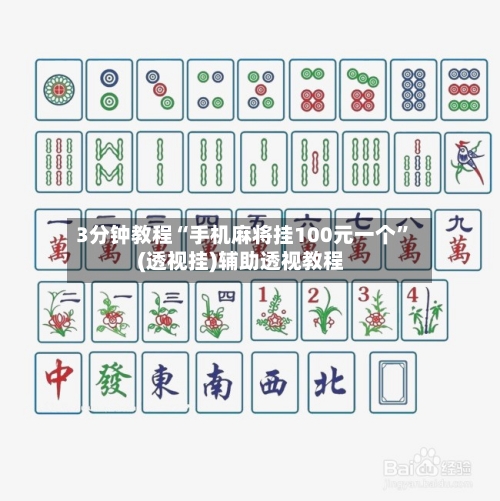 3分钟教程“手机麻将挂100元一个”(透视挂)辅助透视教程-第3张图片