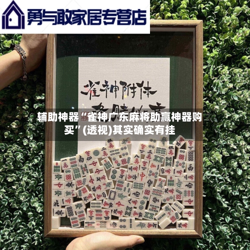 辅助神器“雀神广东麻将助赢神器购买”(透视)其实确实有挂-第2张图片