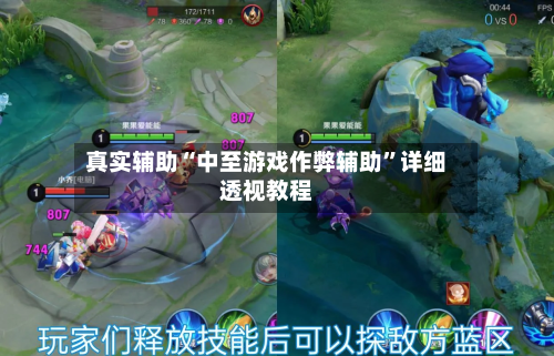 真实辅助“中至游戏作弊辅助”详细透视教程-第2张图片