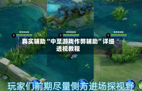 真实辅助“中至游戏作弊辅助”详细透视教程-第3张图片