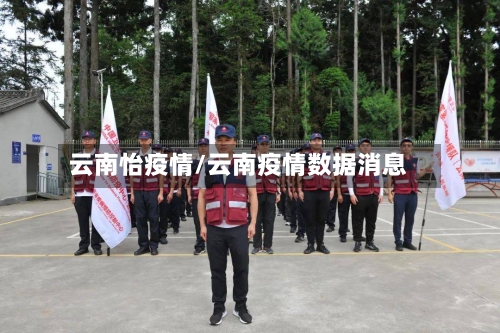 云南怡疫情/云南疫情数据消息-第2张图片