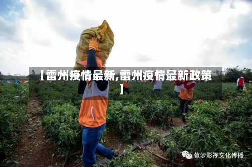 【雷州疫情最新,雷州疫情最新政策】-第2张图片