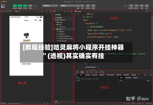[教程经验]哈灵麻将小程序开挂神器”(透视)其实确实有挂-第2张图片