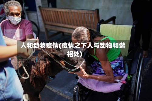 人和动物疫情(疫情之下人与动物和谐相处)-第2张图片