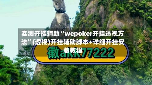 实测开挂辅助“wepoker开挂透视方法”(透视)开挂辅助脚本+详细开挂安装教程-第2张图片