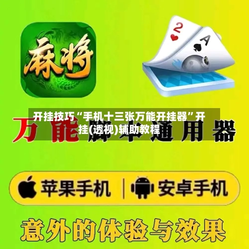开挂技巧“手机十三张万能开挂器	”开挂(透视)辅助教程-第1张图片