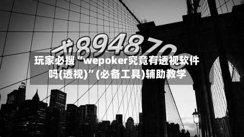 玩家必搜“wepoker究竟有透视软件吗(透视)	”(必备工具)辅助教学-第2张图片