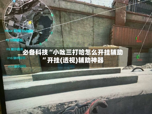 必备科技“小吆三打哈怎么开挂辅助”开挂(透视)辅助神器-第2张图片