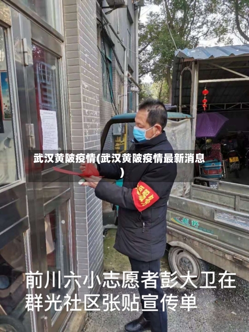 武汉黄陂疫情(武汉黄陂疫情最新消息)-第2张图片
