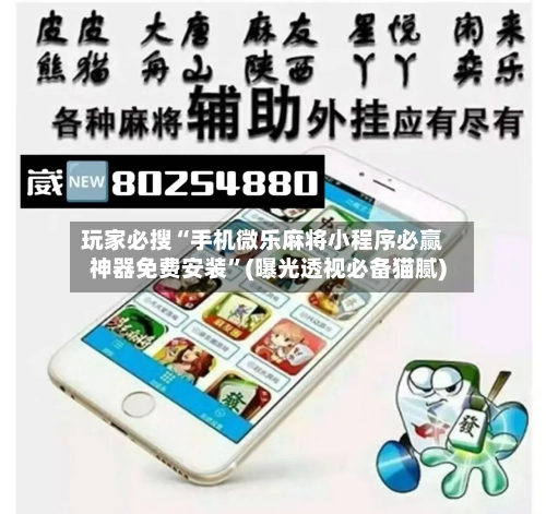 玩家必搜“手机微乐麻将小程序必赢神器免费安装”(曝光透视必备猫腻)-第3张图片