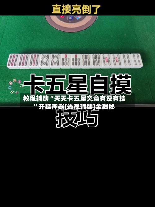 教程辅助“天天卡五星究竟有没有挂”开挂神器{透视辅助}全揭秘-第3张图片