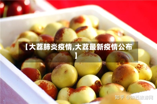 【大荔肺炎疫情,大荔最新疫情公布】-第3张图片