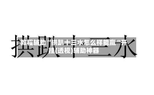 教程辅助“拱趴十三水怎么样能赢“开挂(透视)辅助神器-第2张图片