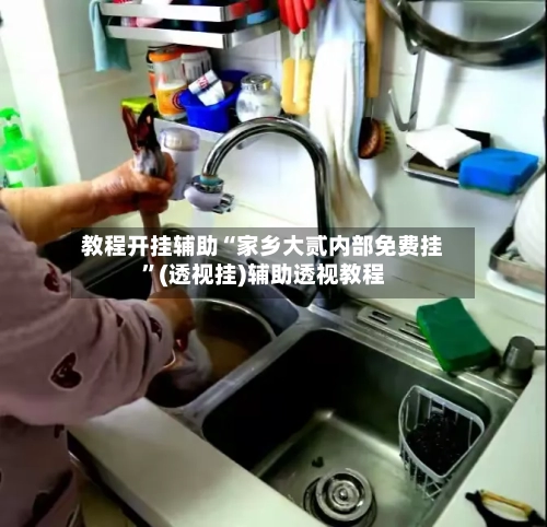 教程开挂辅助“家乡大贰内部免费挂”(透视挂)辅助透视教程-第3张图片