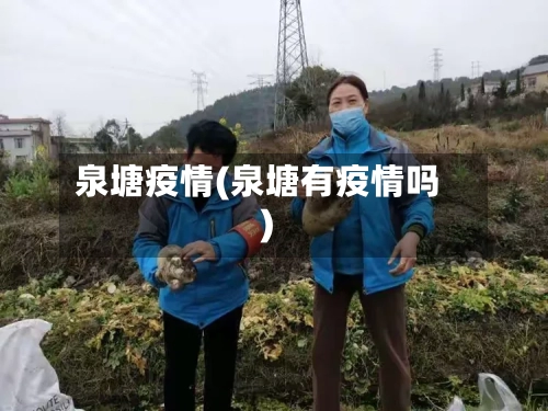 泉塘疫情(泉塘有疫情吗)-第3张图片