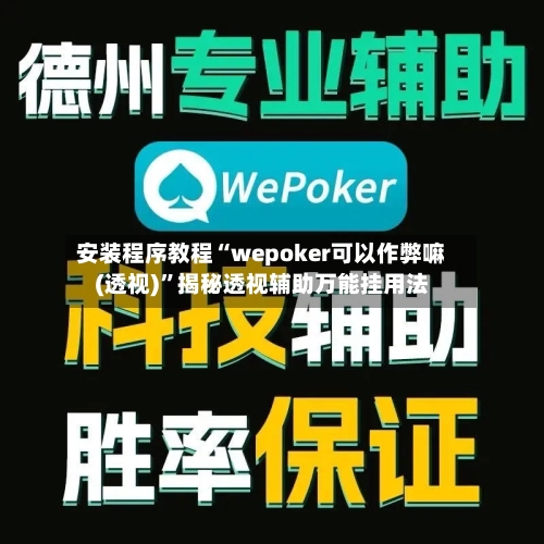 安装程序教程“wepoker可以作弊嘛(透视)”揭秘透视辅助万能挂用法-第3张图片