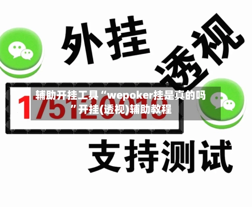 辅助开挂工具“wepoker挂是真的吗	”开挂(透视)辅助教程-第2张图片