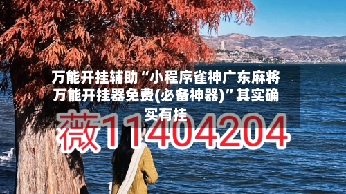 万能开挂辅助“小程序雀神广东麻将万能开挂器免费(必备神器)”其实确实有挂-第2张图片