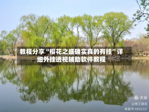 教程分享“樱花之盛确实真的有挂”详细外挂透视辅助软件教程-第2张图片