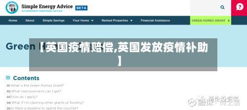 【英国疫情赔偿,英国发放疫情补助】-第3张图片