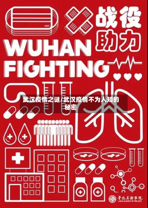 武汉疫情之谜/武汉疫情不为人知的秘密-第1张图片