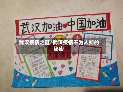 武汉疫情之谜/武汉疫情不为人知的秘密-第2张图片