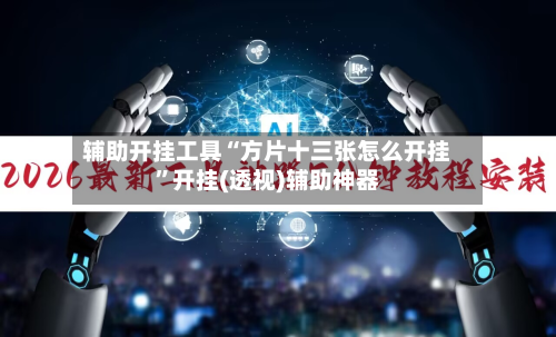 辅助开挂工具“方片十三张怎么开挂”开挂(透视)辅助神器-第3张图片