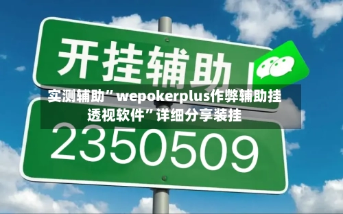 实测辅助”wepokerplus作弊辅助挂透视软件”详细分享装挂-第2张图片