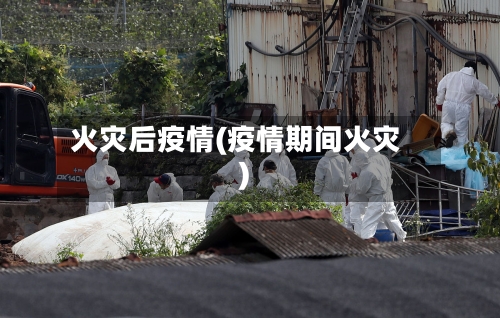 火灾后疫情(疫情期间火灾)-第2张图片