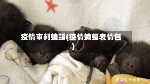 疫情审判蝙蝠(疫情蝙蝠表情包)-第3张图片