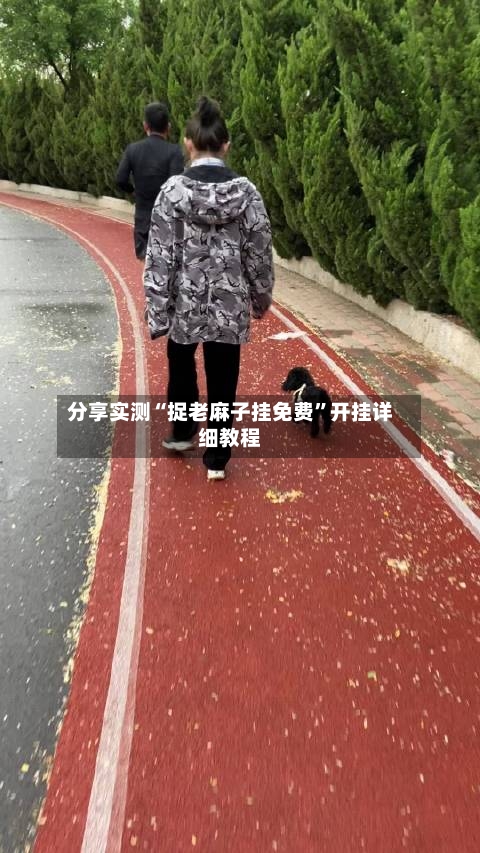 分享实测“捉老麻子挂免费”开挂详细教程-第1张图片