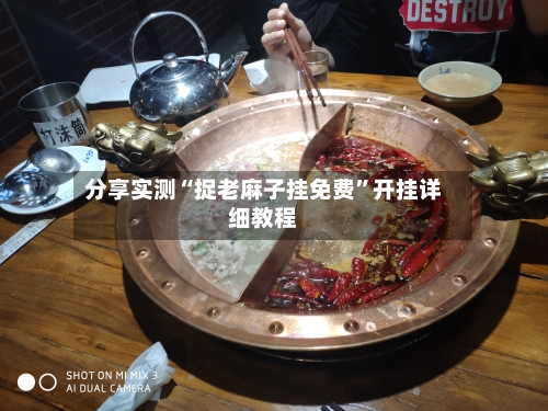 分享实测“捉老麻子挂免费”开挂详细教程-第3张图片