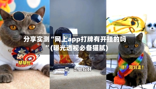 分享实测“网上app打牌有开挂的吗”(曝光透视必备猫腻)-第2张图片