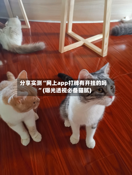 分享实测“网上app打牌有开挂的吗”(曝光透视必备猫腻)-第3张图片