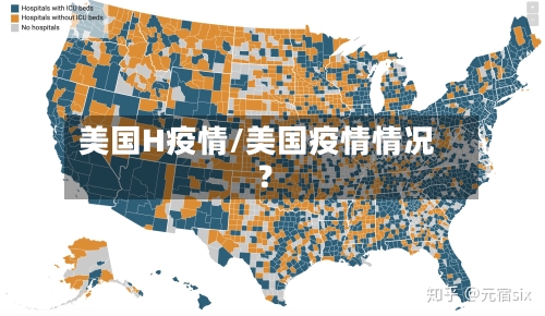 美国H疫情/美国疫情情况?-第2张图片