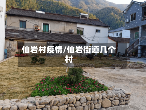 仙岩村疫情/仙岩街道几个村-第1张图片