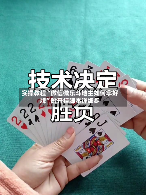 实操教程“微信微乐斗地主如何拿好牌”附开挂脚本详细步-第1张图片
