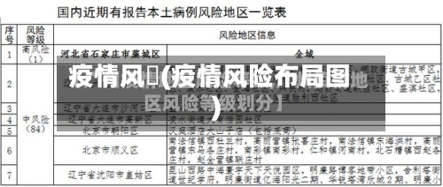 疫情风釆(疫情风险布局图)-第2张图片
