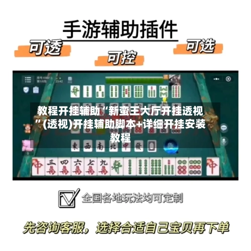 教程开挂辅助“新蛮王大厅开挂透视”(透视)开挂辅助脚本+详细开挂安装教程-第2张图片